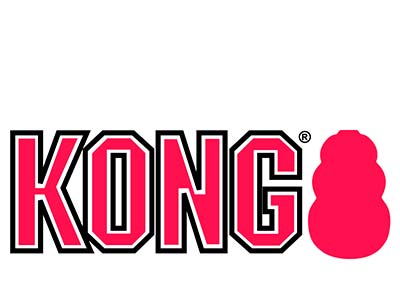 Kong (США)