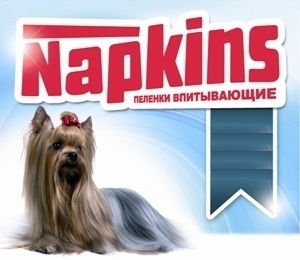 Napkins (Напкинс) - Пеленки впитывающие 60*90 см (5 штук)