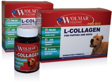 Wolmar Pro Bio L-COLLAGEN (Волмар Про Био Л-Коллаген) - Cинергический комплекс для восстановления и продуцирования сухожилий, связок для собак всех возрастов 100 таб. (1 таб./20 кг)