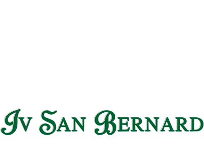 Iv San Bernard (Италия)